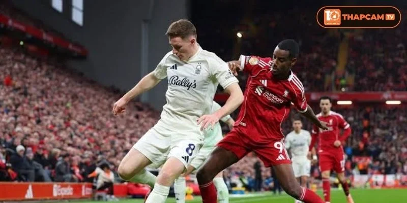Lịch sử đối đầu Liverpool vs Nottingham Forest cho thấy đội chủ nhà luôn lấn lướt The Reds.