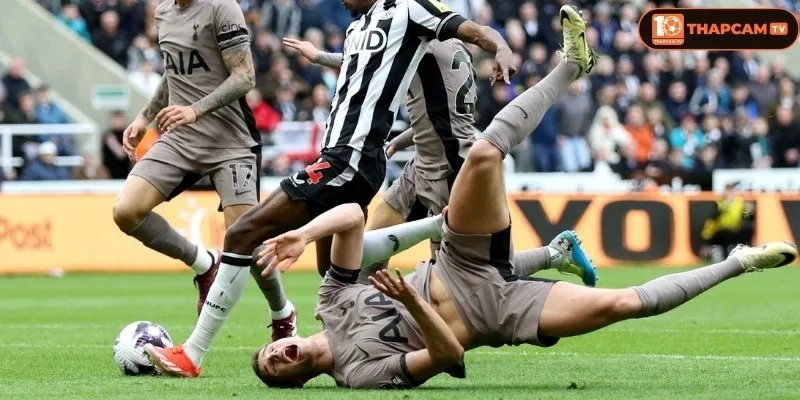 Lịch sử đối đầu Tottenham Hotspur vs Newcastle United cho thấy sự giằng co rất lớn ở hai đội tuyển