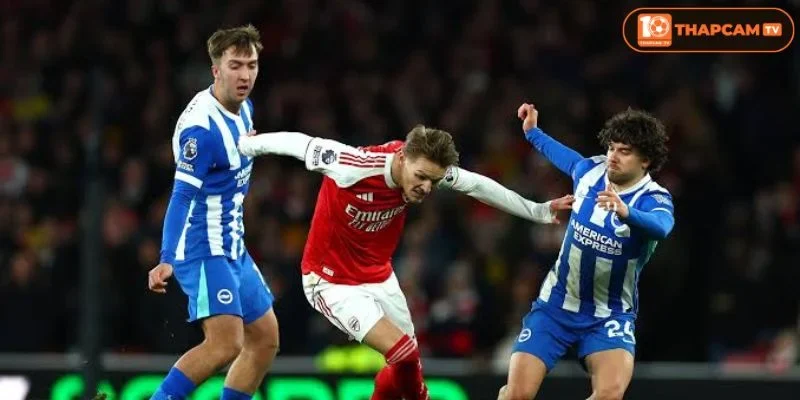 Lịch sử đối đầu Brighton & Hove Albion vs Arsenal cho thấy Pháo Thủ luôn chiếm ưu thế