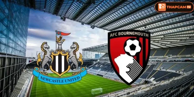 Lịch sử đối đầu Newcastle United vs Bournemouth cho thấy sự cạnh tranh khốc liệt giữa 2 CLB.